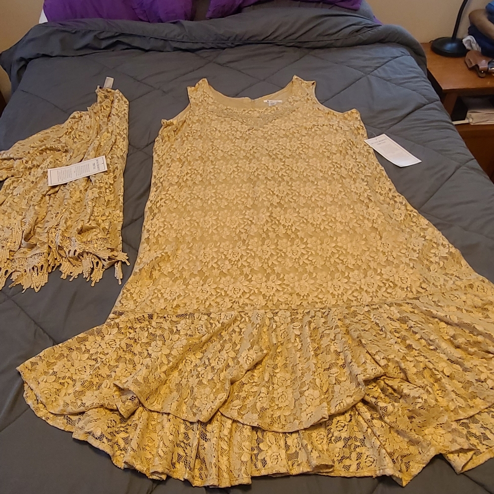 Roamans champagne lace overlay dress